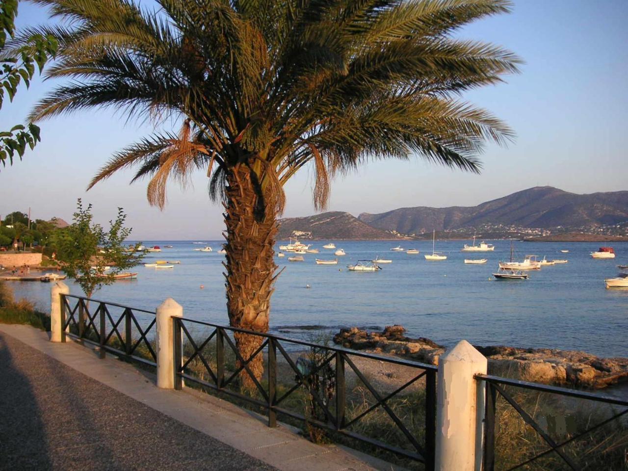 The Mirador Boutique Villa With Scenic Sea View Pórto Ráfti Extérieur photo